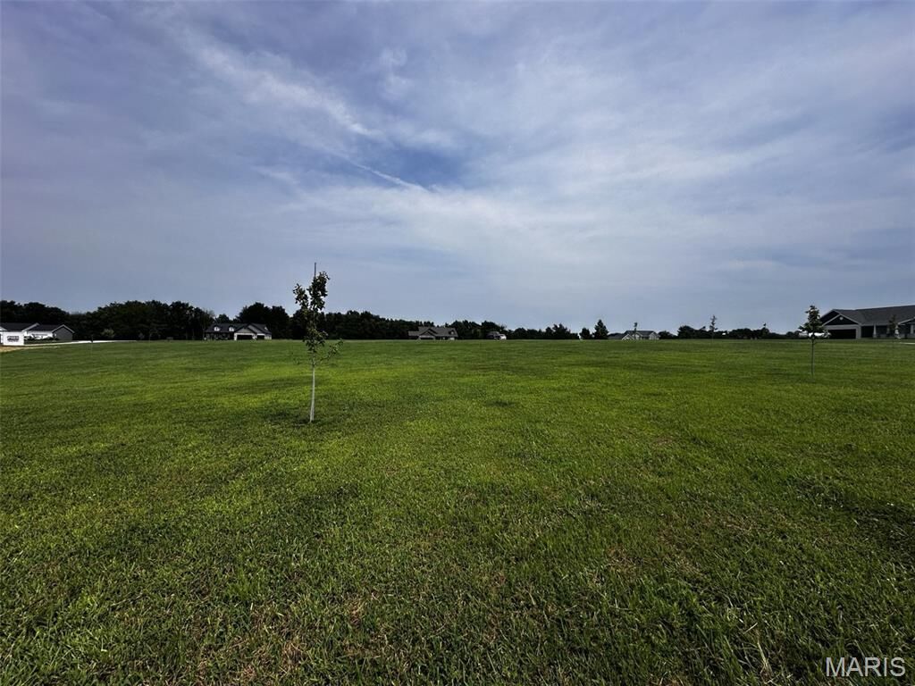 Property Photo:  61 Whiteside Estates Drive  MO 63377 