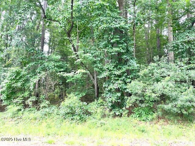 Property Photo:  317 Crestwood Circle  NC 27864 