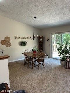 Property Photo: 47225 Tomahawk Drive OH 44441