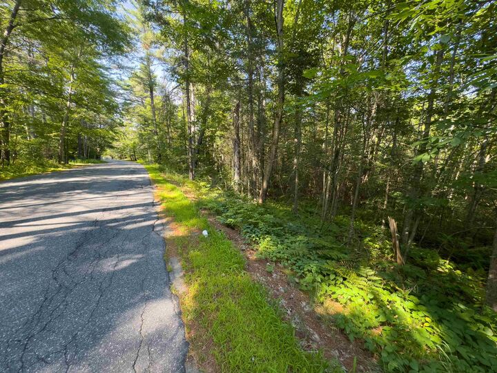 Property Photo: 00 Brushwood Road NH 03765