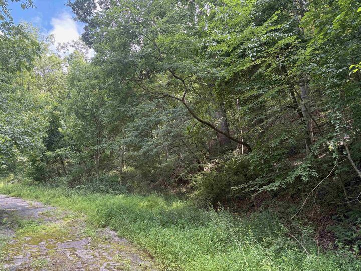 Property Photo:  Tbd Virginia Avenue  VA 24128 