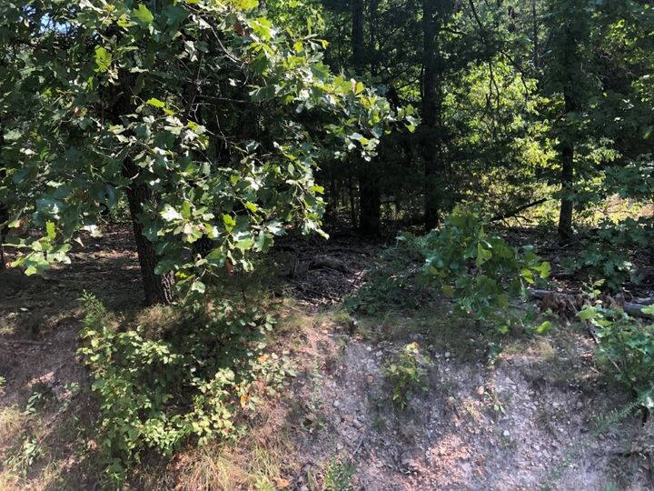Property Photo:  Lot 32 Belgravia Drive  AR 72715 