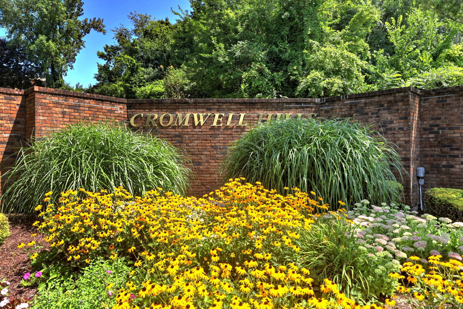 Property Photo:  3 Cedarland Court 3  CT 06416 