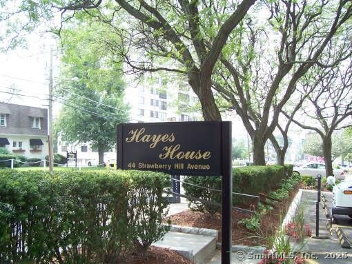 44 Strawberry Hill Avenue 3  Stamford CT 06902 photo