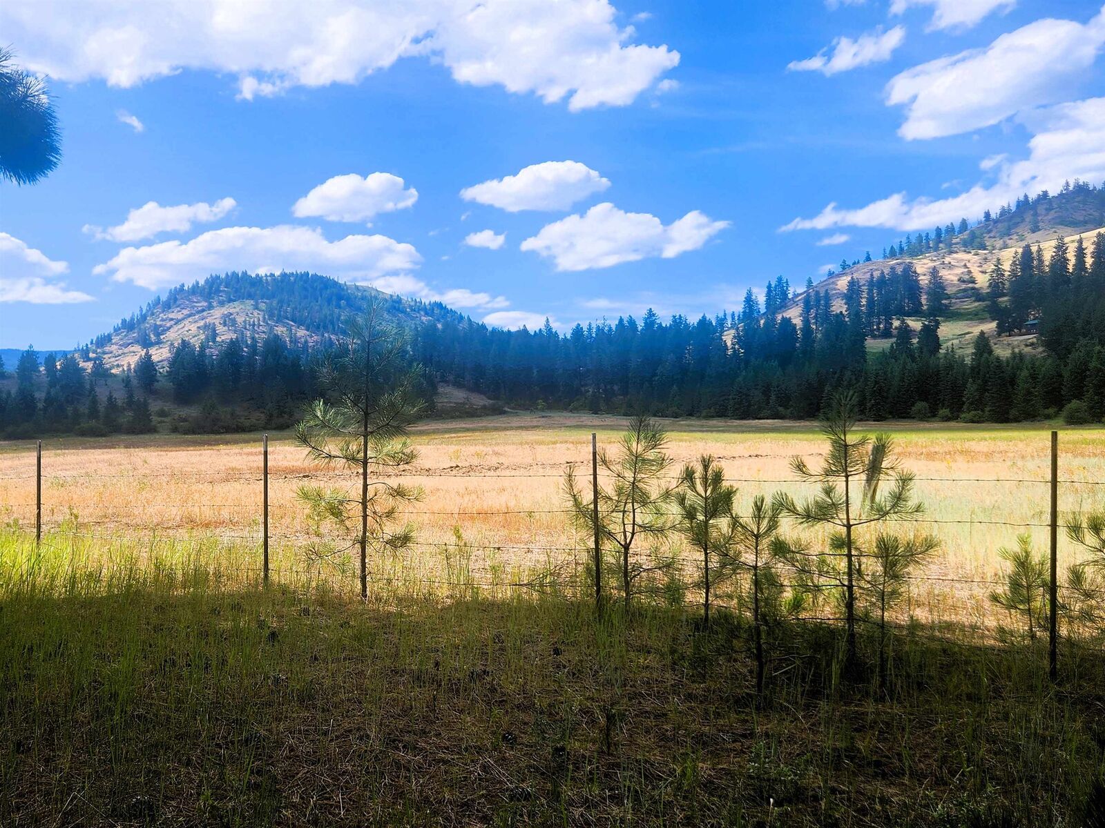 Property Photo:  34xx Northport Flat Creek Rd  WA 99141-9998 