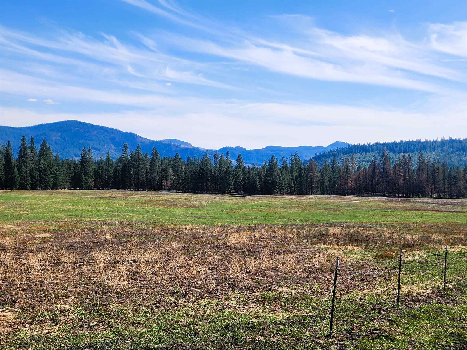 Property Photo:  34xx Northport Flat Creek Rd  WA 99141-9998 