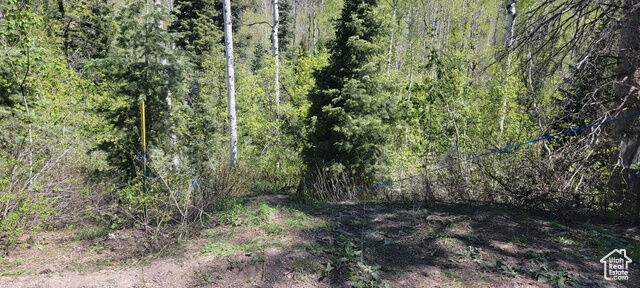 819 North Fork Rd 819  Mt Pleasant UT 84629 photo