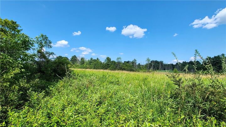 Property Photo: Lot 2 Scofield Road NY 13073