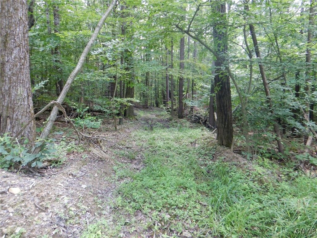 Property Photo: Chaffee Creek Road NY 14867