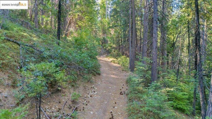 0 Fallen Leaf Ln  Twain Harte CA 95383 photo