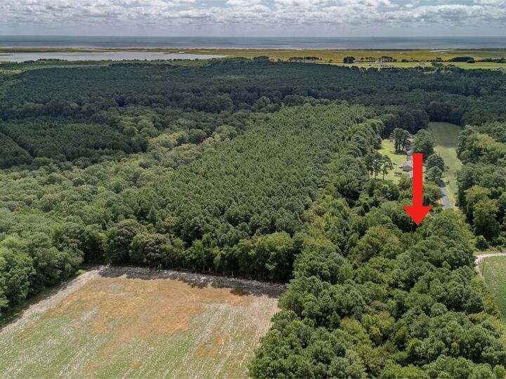 Property Photo: Lot 79D Whites Neck Rd VA 23421