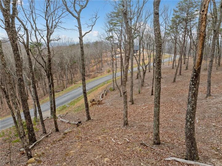 Property Photo:  Lot 21 High Summit Drive  GA 30175 