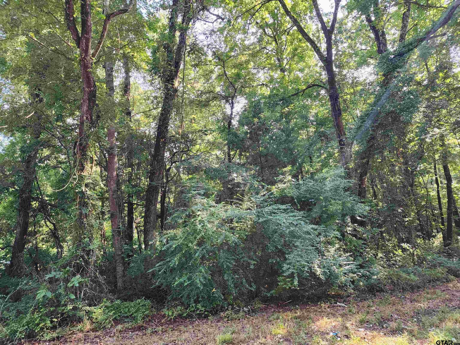 Property Photo: Tbd Cr 378 (Hobbs Rd.) TX 75708