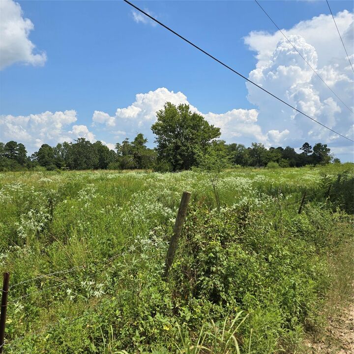 Property Photo:  Tbd Tract 2 Padgett Rd  TX 77331 