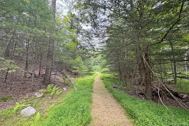 Property Photo:  00 Lauren Court  NY 12498 