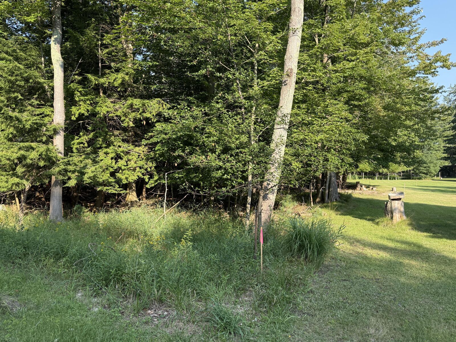 Property Photo: 001 S Portage Point Drive MI 49675