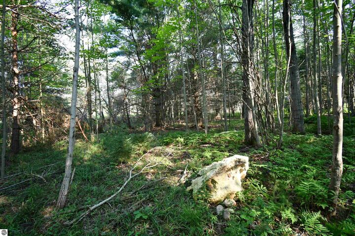 Property Photo:  9537 Lakeview Road  MI 49706 
