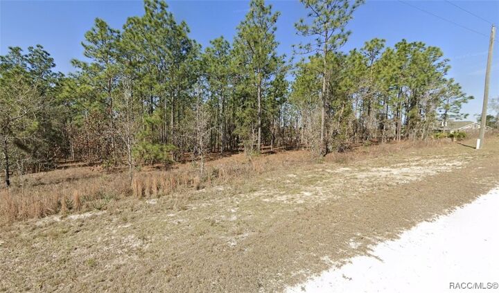 Property Photo: 16483 Little Dove Road FL 34614
