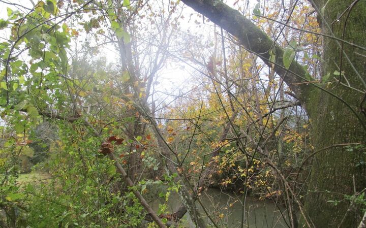Property Photo:  262 County Road 849  TN 37331 