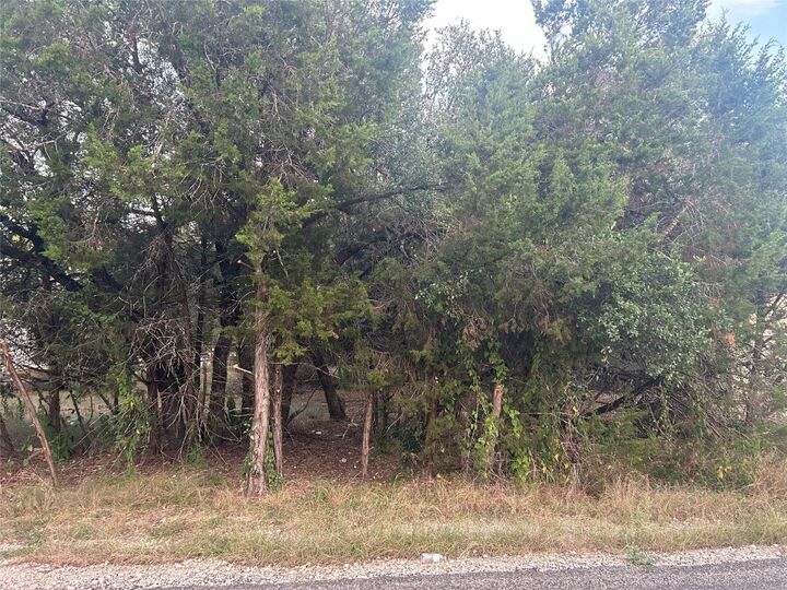 Property Photo:  3 Wishing Well Lane  TX 78676 