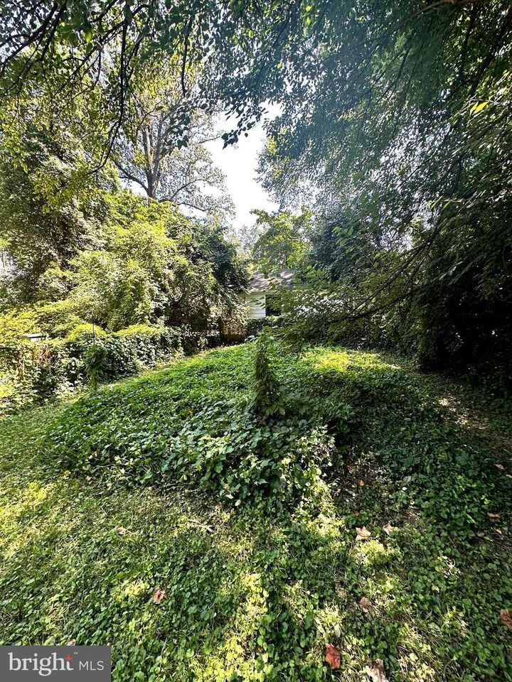 Property Photo:  2238 N Vermont Street  VA 22207 