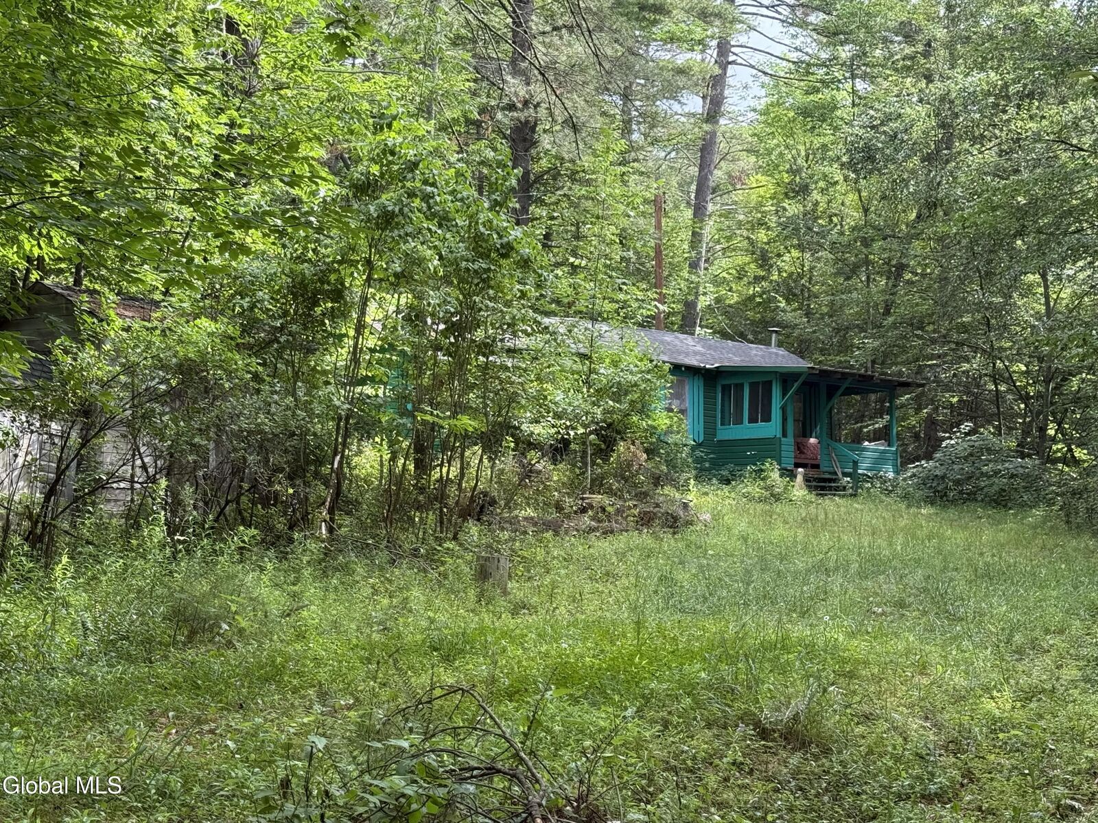 Property Photo: 11 Cozy Hollow Road NY 12468