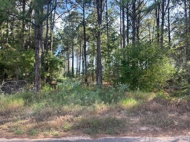 Property Photo: Tbd 5 Acres W Cr 3271 TX 75681