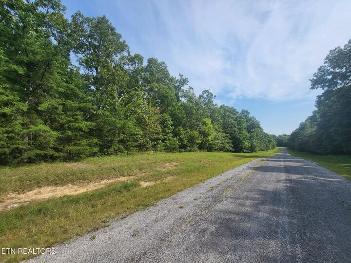 Property Photo: Thistle Rd. Lot 2 & 3 TN 38574