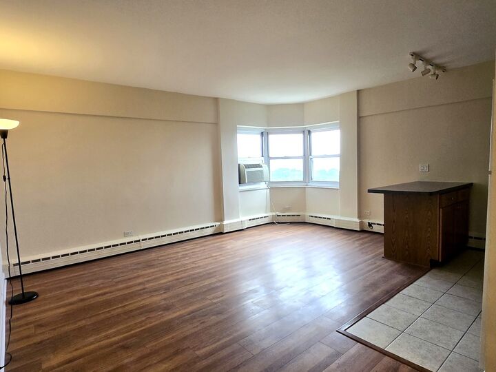 Property Photo: 4980 N Marine Drive 1136 IL 60640