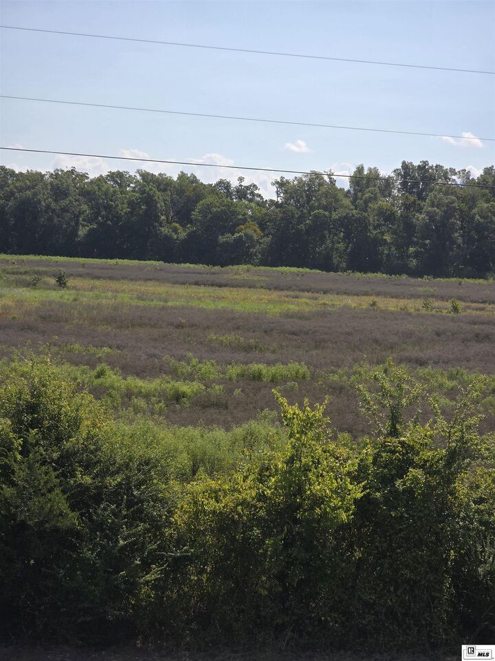 Property Photo:  00 Mengel Road  LA 71269 