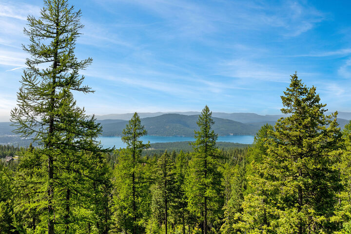 380 Sugarbowl Circle  Whitefish MT 59937 photo