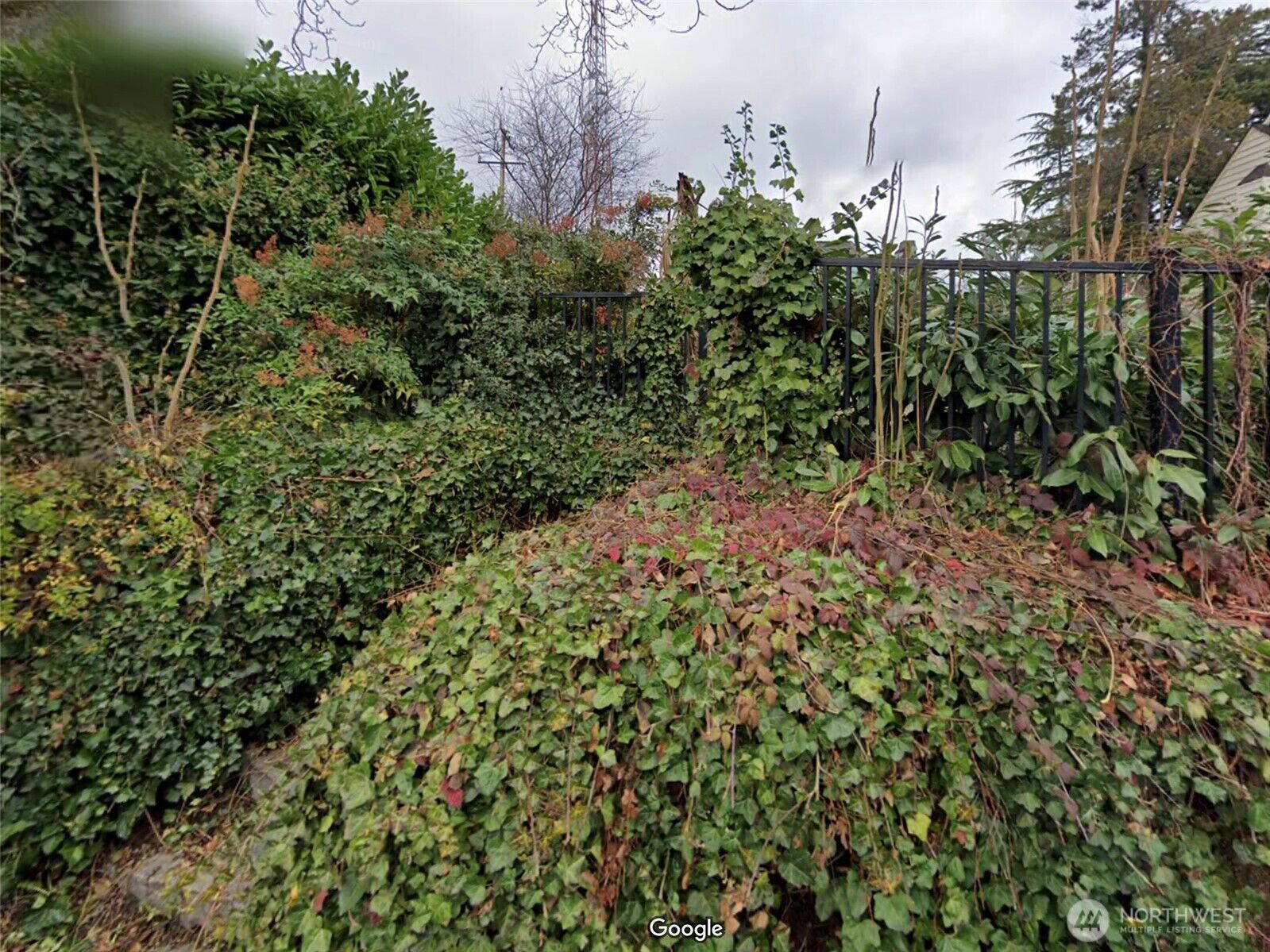 Property Photo: 1223 Warren Place N WA 98119