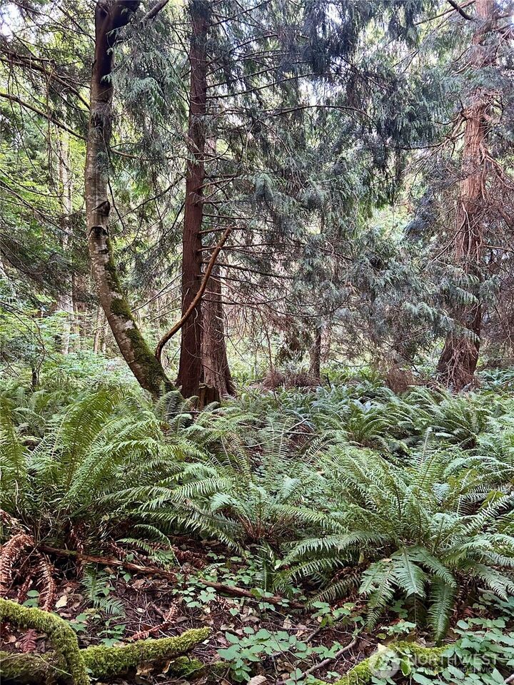 0 Lots 1-4  Hendricks Street  Port Townsend WA 98368 photo