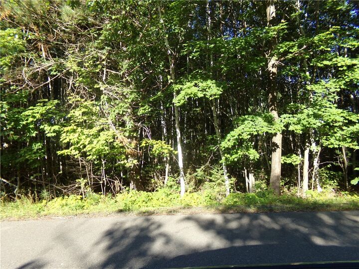 7581 S Marsik Lot 1 Road  Lake Nebagamon WI 54849 photo