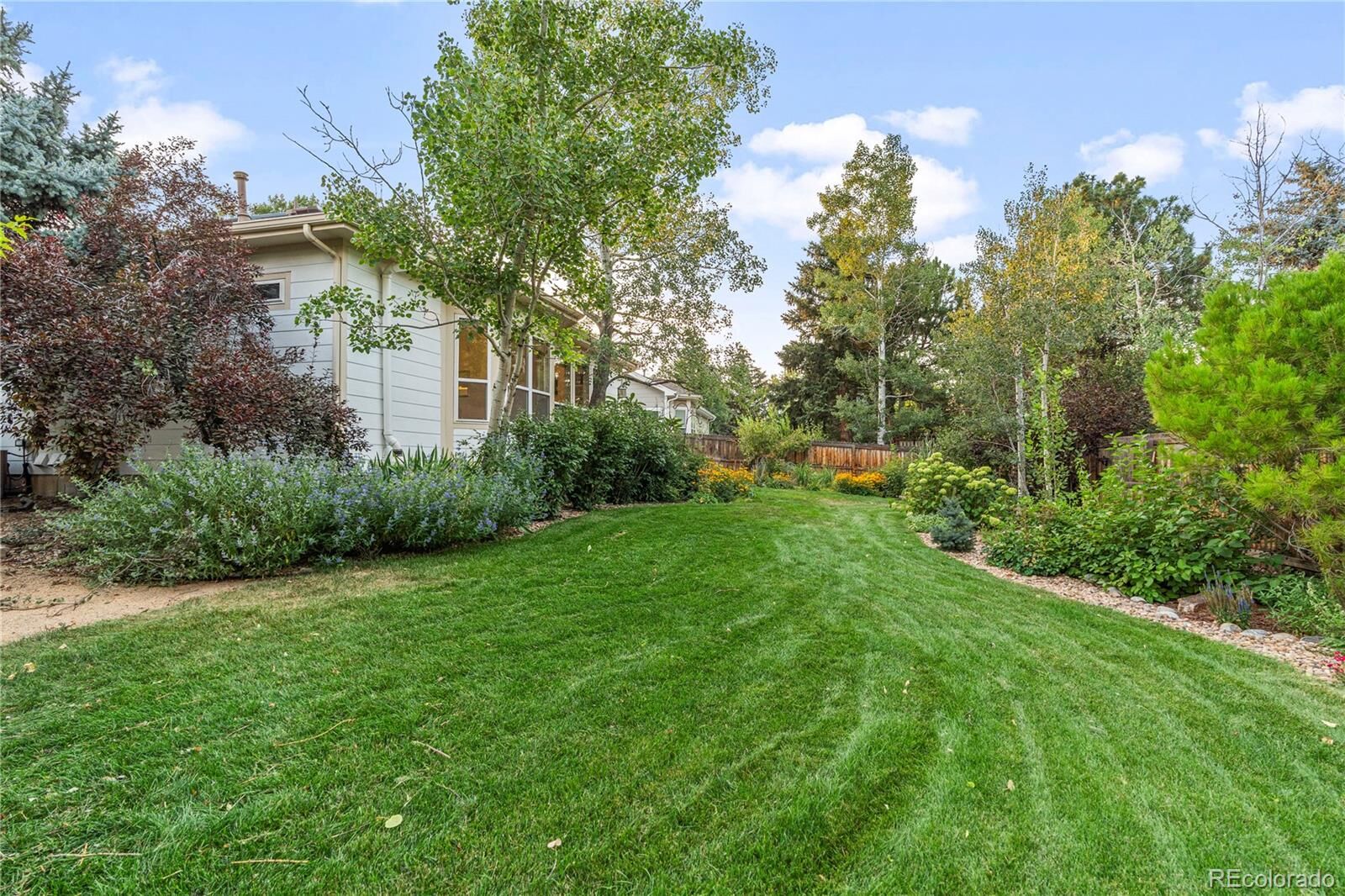 Property Photo:  375 Pika Point  CO 80026 