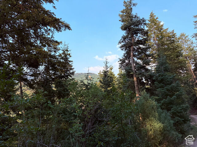 39 Pine Creek Rd A39  Mt Pleasant UT 84647 photo