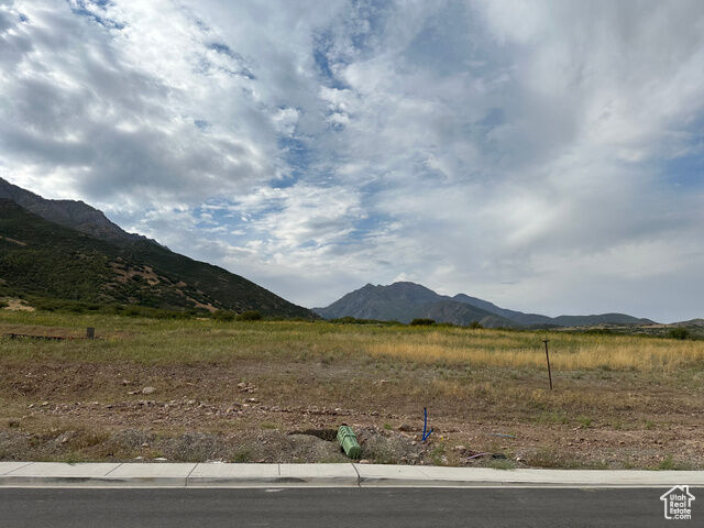 Unknown  Santaquin UT 84655 photo