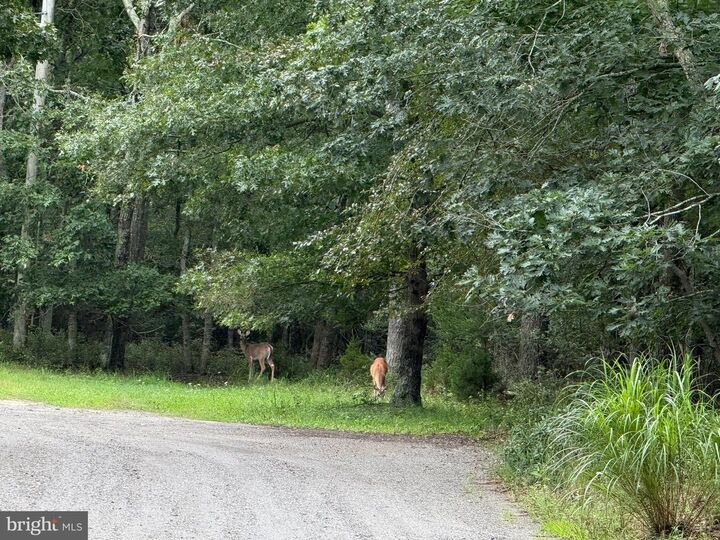 Property Photo:  0 Maplewood  NJ 08087 