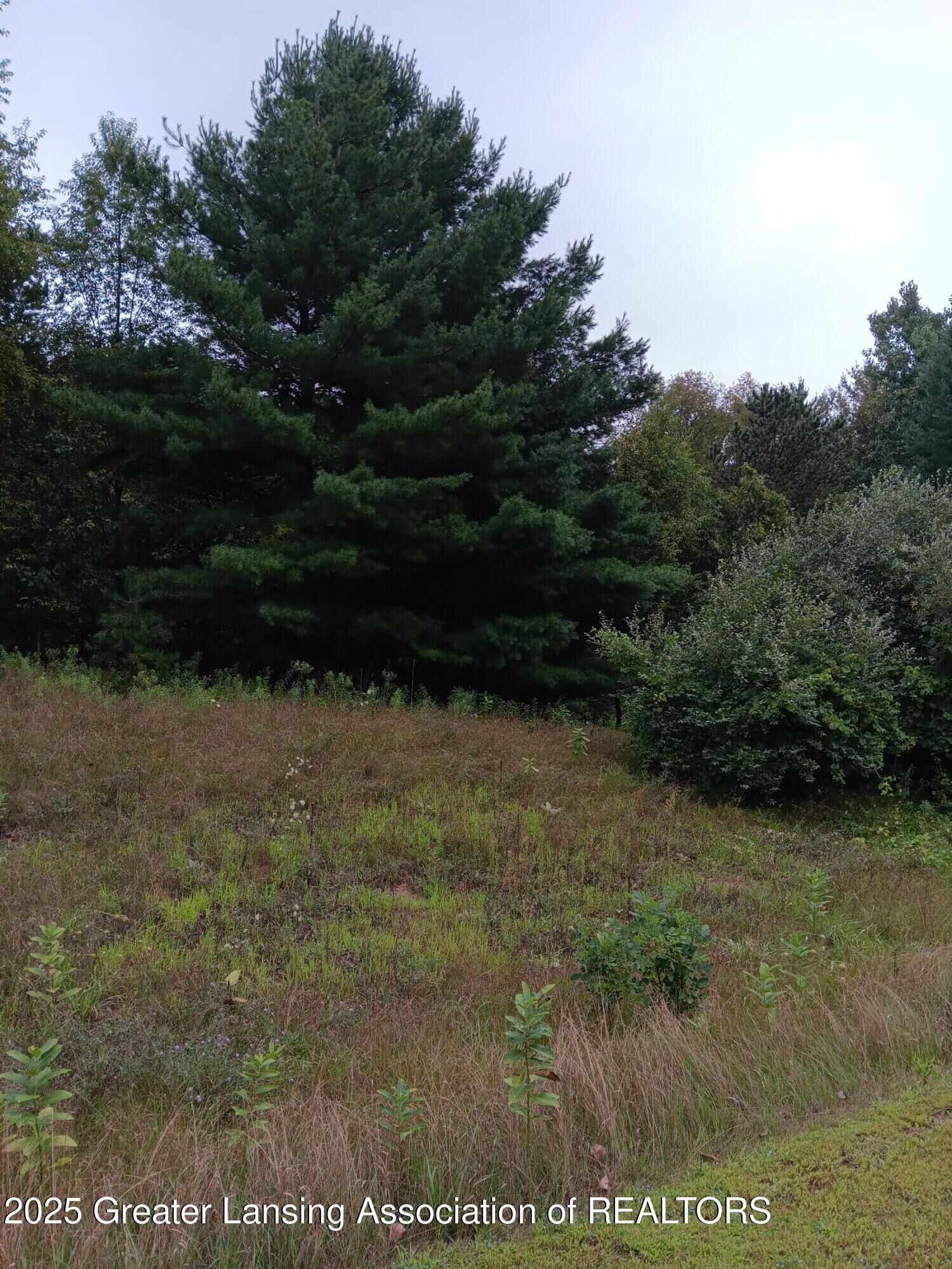 Property Photo:  20 Bennington Greens  MI 48867 
