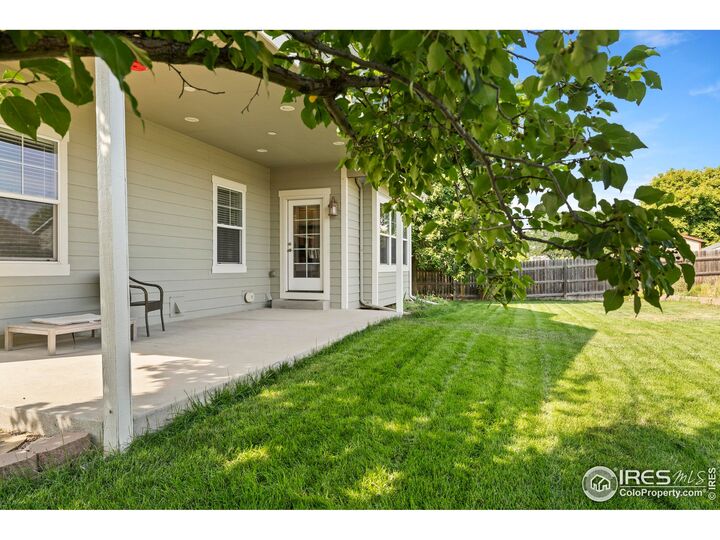 365 Amber Dr  Windsor CO 80550 photo