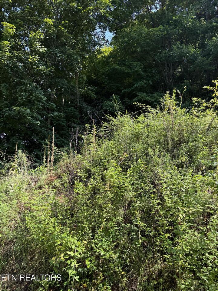 Property Photo: 115 Hughes Hollow Rd TN 37846
