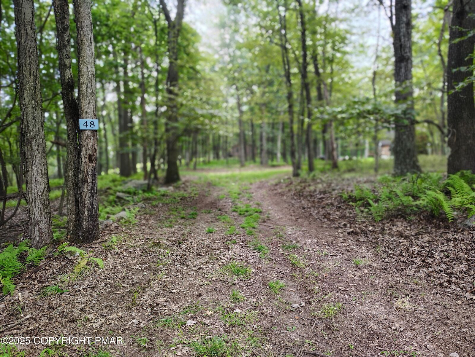Property Photo: Lot 48 Mountain Terrace PA 18661