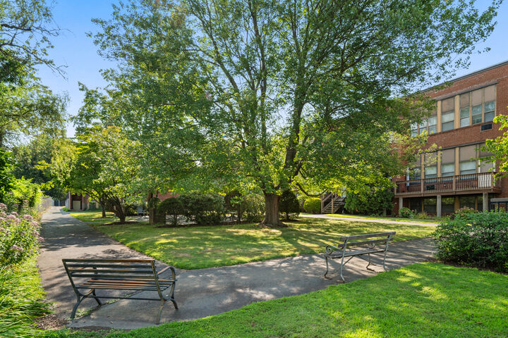 Property Photo:  201 College Street 25  CT 06457 