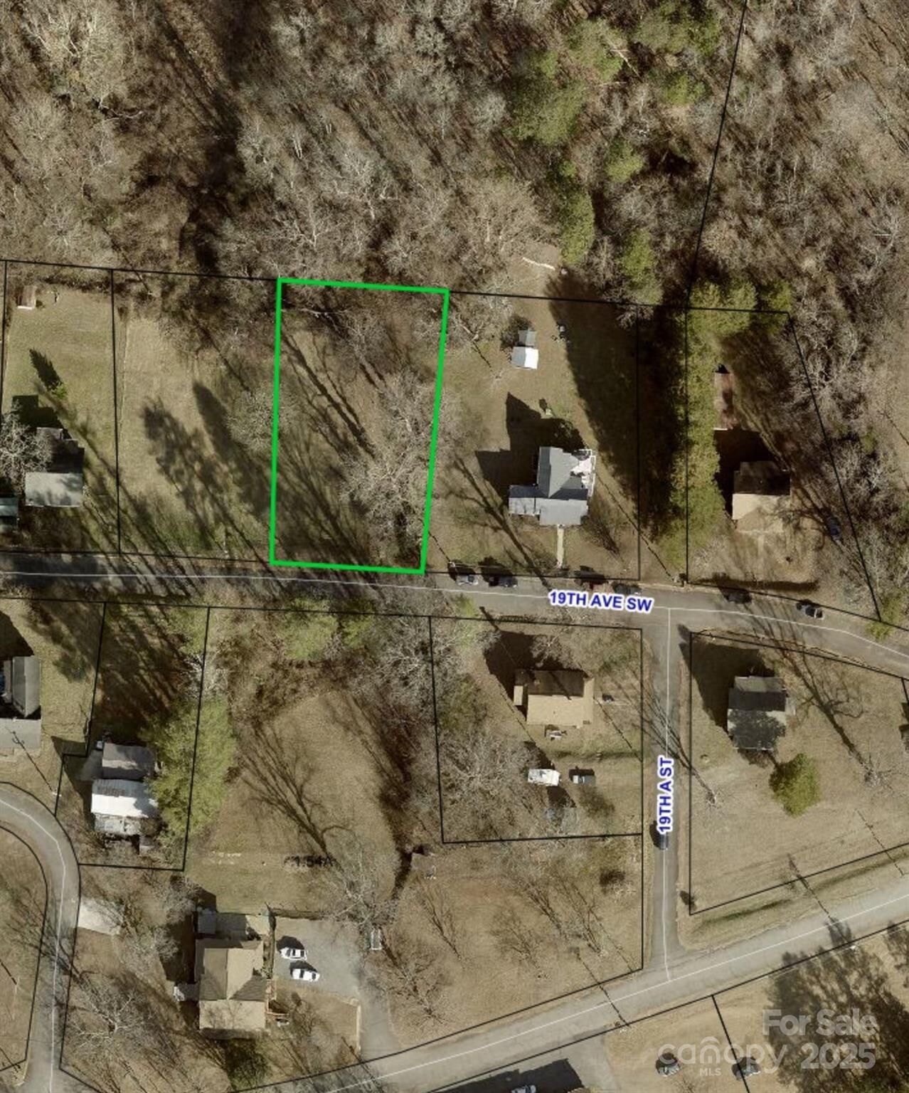Property Photo: 56 19th Avenue SW NC 28602