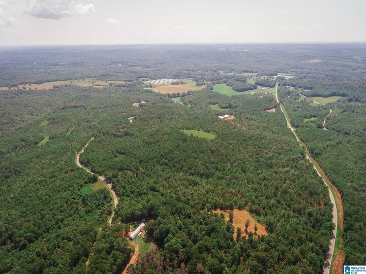 200 Tablee Lane 1  Ashland AL 36251 photo