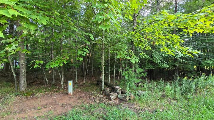 Property Photo:  461 E Benson Avenue  WI 54840 