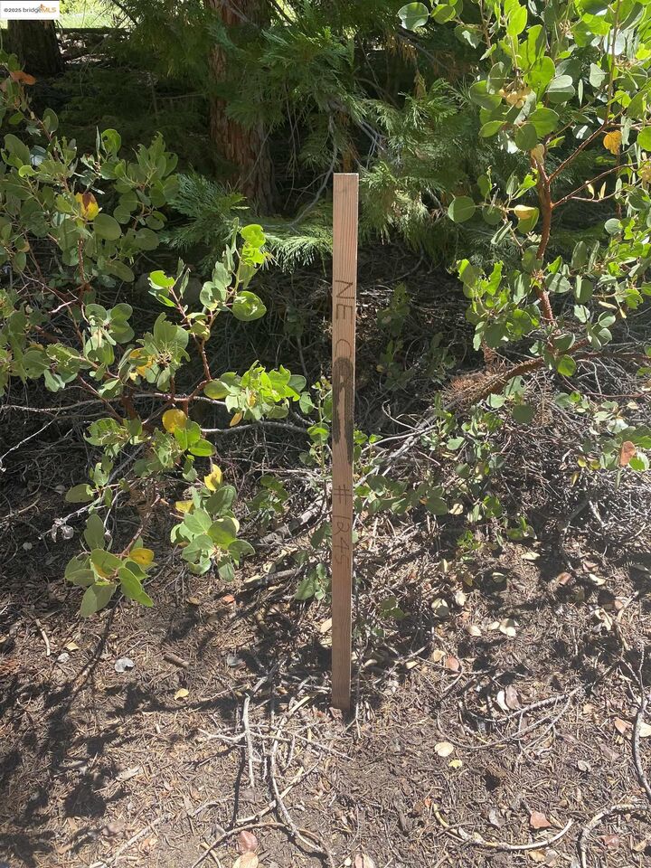 Property Photo: 33994 Leland Meadow Rd CA 95364