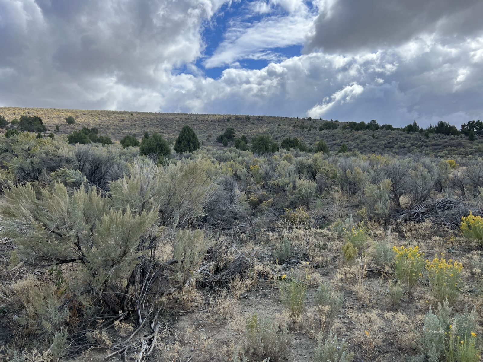 Property Photo: 412 Murdoch Way NV 89801