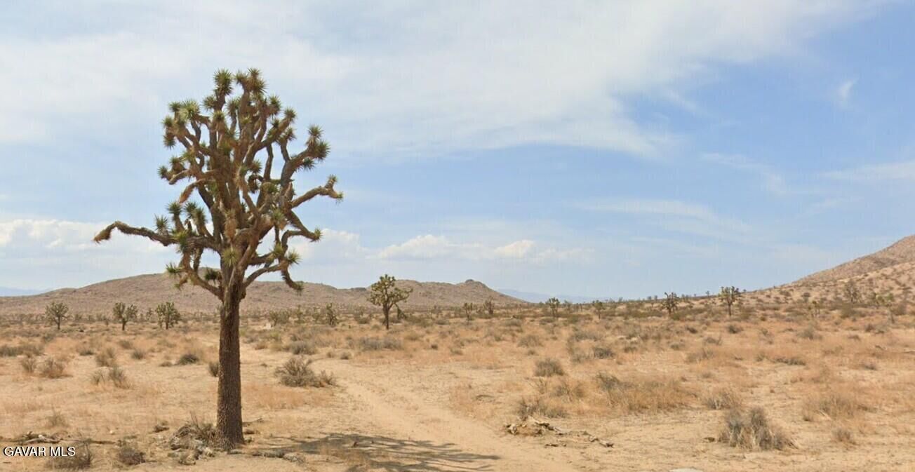 Property Photo:  Vic 196th St E And Ave J4  CA 93535 