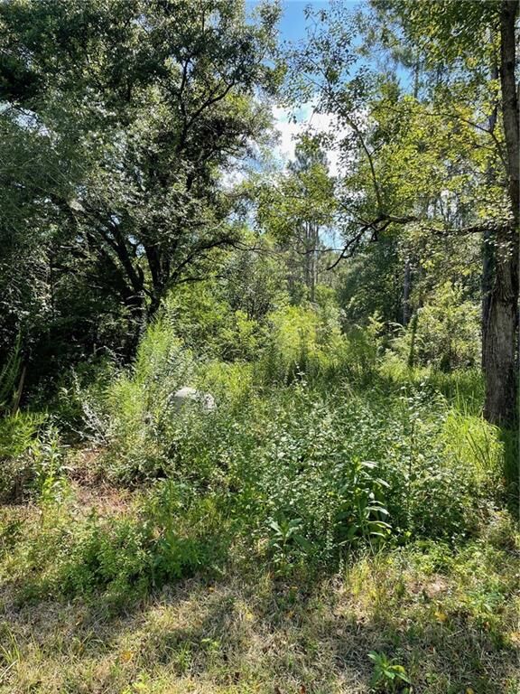 Property Photo:  20150 County Road 87  AL 36567 